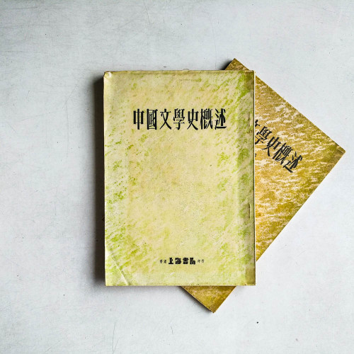 中國文學史概述（2冊）