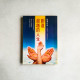 創造超越的人生