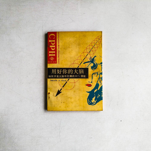 用好你的大腦:如何開發大腦中沉睡的80%潛能 用好你的大腦:如何開發大腦中沉睡的80%潛能