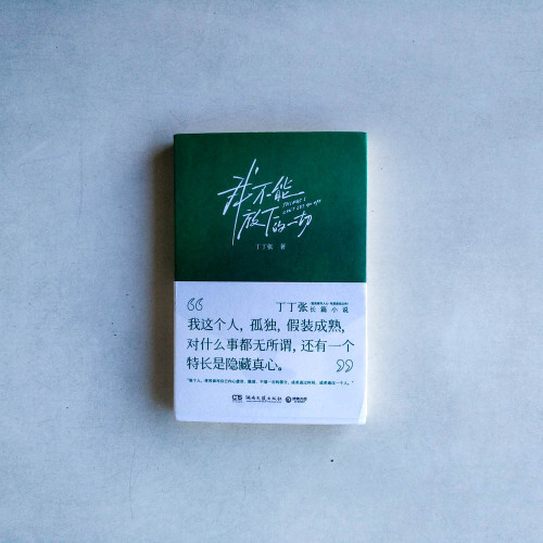 我不能放下的一切 