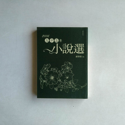 九十五年小說選 九十五年小說選