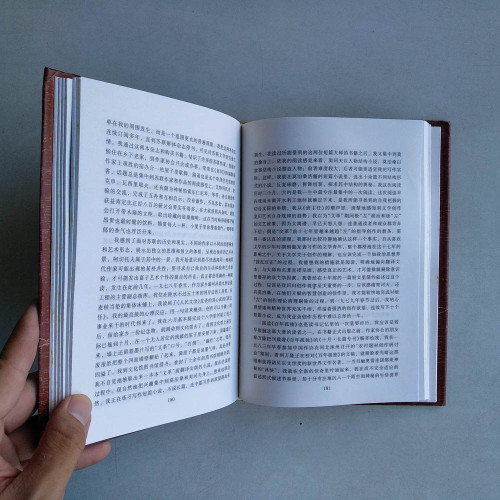 陳忠實集：原下的日子