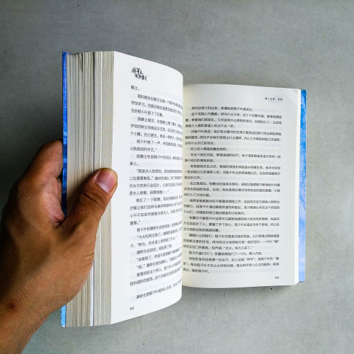 將軍總被欺負哭(全二冊) 將軍總被欺負哭(全二冊)