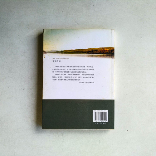 鋼琴教師 鋼琴教師