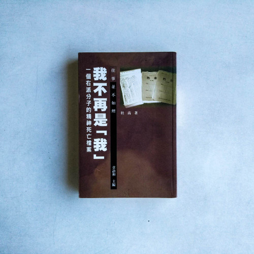 我不再是我:一個右派分子的精神死亡檔案 我不再是我:一個右派分子的精神死亡檔案