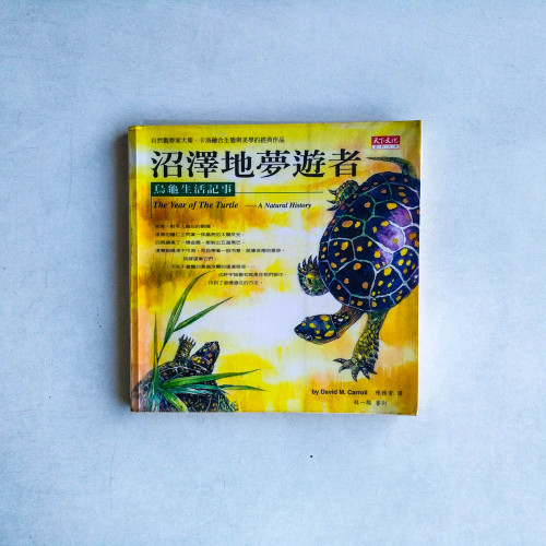 沼澤地夢遊者-烏龜生活記事 沼澤地夢遊者-烏龜生活記事