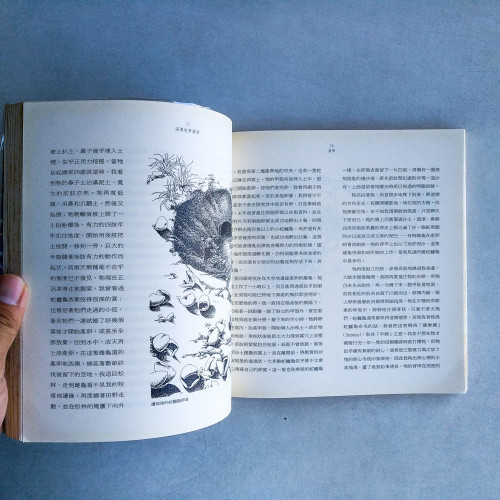 沼澤地夢遊者-烏龜生活記事 沼澤地夢遊者-烏龜生活記事