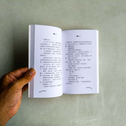 燦爛的美元