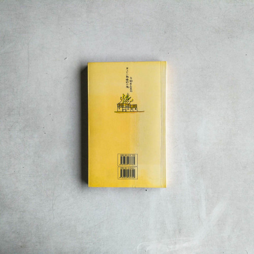 早上七八點鐘的太陽