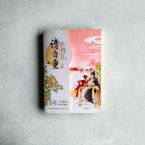 小侍衛，請自重