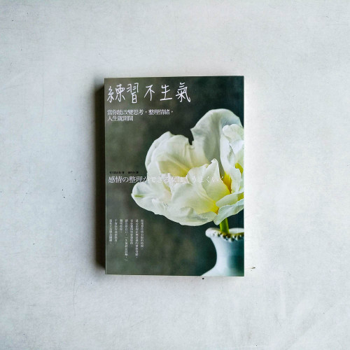 練習不生氣:當你能改變思考,整理情緒,人生就開闊 練習不生氣:當你能改變思考,整理情緒,人生就開闊