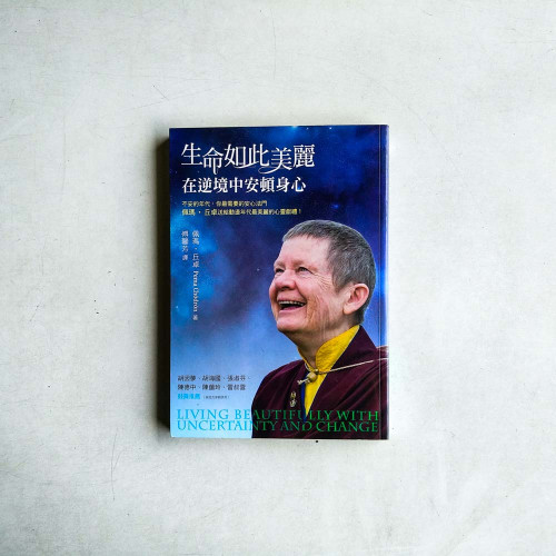 生命如此美麗:在逆境中安頓身心 生命如此美麗:在逆境中安頓身心