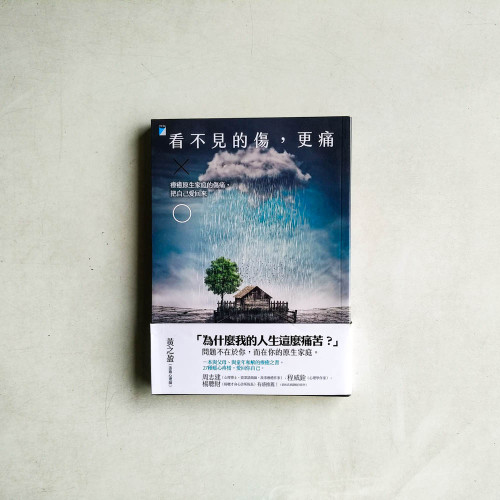 看不見的傷,更痛:療癒原生家庭的傷痛,把自己愛回來 看不見的傷,更痛:療癒原生家庭的傷痛,把自己愛回來
