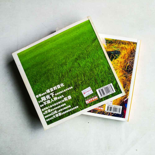 彳亍地平線1+2(二冊) 彳亍地平線1+2(二冊)