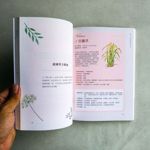芳療塑身:先減壓再消脂,重塑身心找回曼妙體態 芳療塑身:先減壓再消脂,重塑身心找回曼妙體態