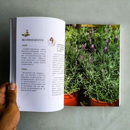 做自己的芳療師:跟著Nico老師一次弄懂精油、基底油、純露,365個實用配方,111個瘦身、美肌、抒壓、健康、幼兒、居家、貓狗問題的日常對策全有解! 做自己的芳療師:跟著Nico老師一次弄懂精油、基底油、純露,365個實用配方,111個瘦身、美肌、抒壓、健康、幼兒、居家、貓狗問題的日常對策全有解!