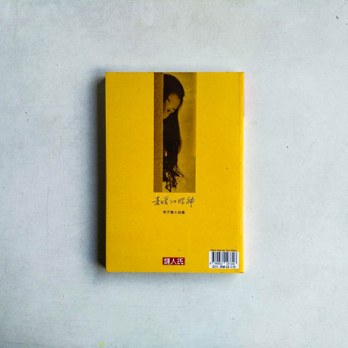 表嫂的眼神: 宋子衡小說集