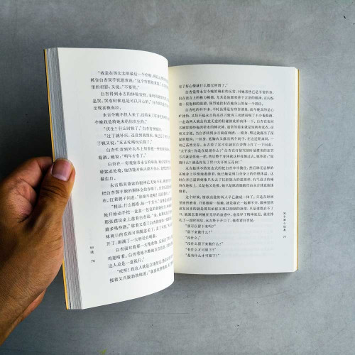 表嫂的眼神: 宋子衡小說集