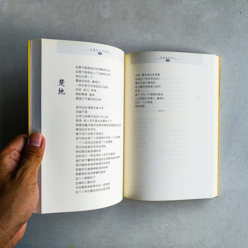 沉思者的叩門: 沙禽四十年詩綜