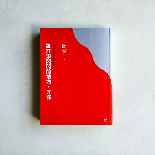誰在銀閃閃的地方,等你:老年書寫與凋零幻想 誰在銀閃閃的地方,等你:老年書寫與凋零幻想