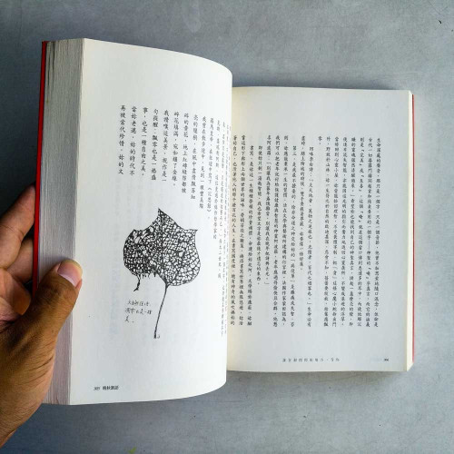 誰在銀閃閃的地方,等你:老年書寫與凋零幻想 誰在銀閃閃的地方,等你:老年書寫與凋零幻想