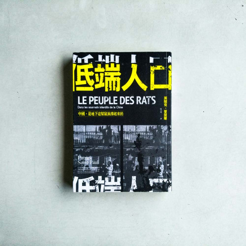 低端人口:中國,是地下這幫鼠族撐起來的 低端人口:中國,是地下這幫鼠族撐起來的