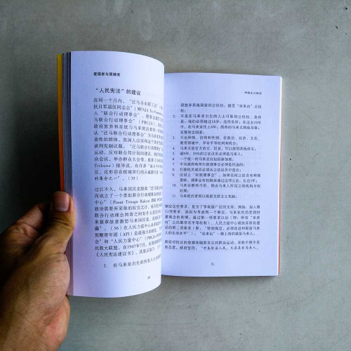 愛國者與冒牌者 愛國者與冒牌者