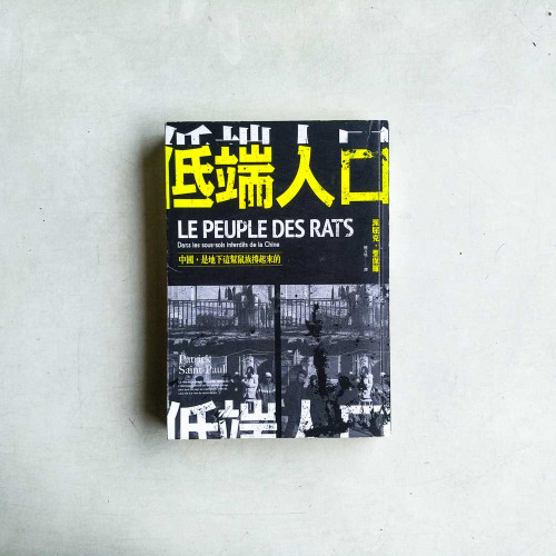低端人口：中國，是地下這幫鼠族撐起來的