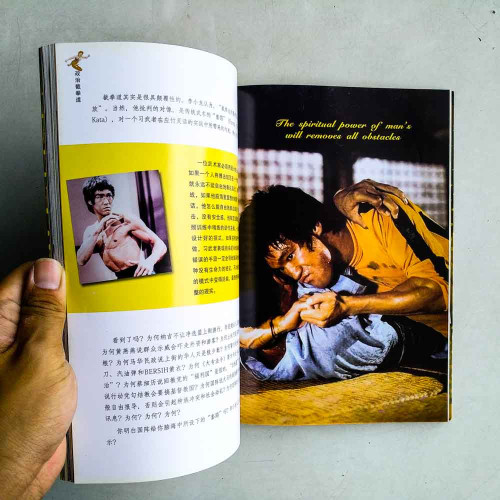 政治截拳道:龍哥完全UBAH手冊 政治截拳道:龍哥完全UBAH手冊