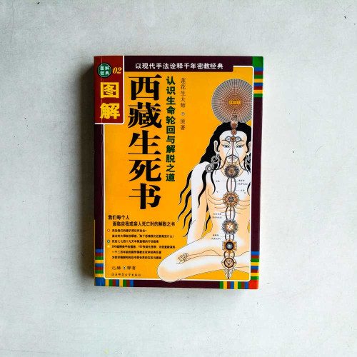 圖解西藏生死書:認識生命輪迴與解脫之道 圖解西藏生死書:認識生命輪迴與解脫之道