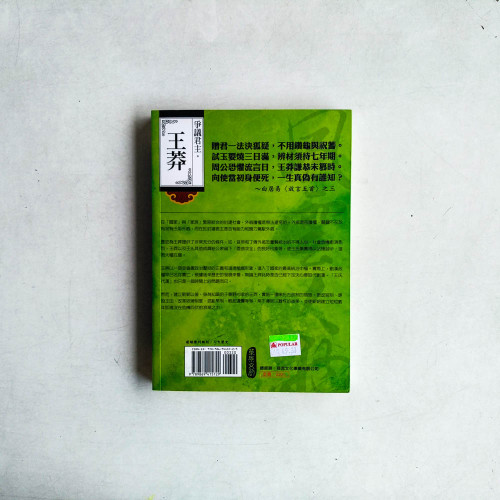 爭議君主:王莽 爭議君主:王莽