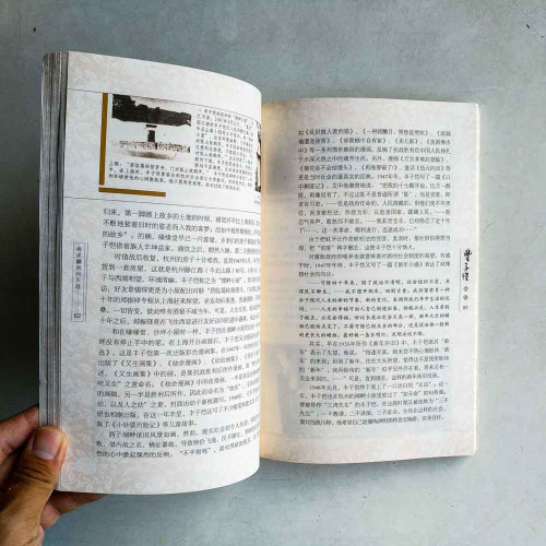 豐子愷畫傳 豐子愷畫傳