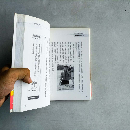 黑幼龍慢養教育 黑幼龍慢養教育