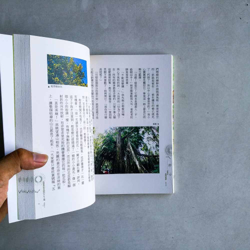 苦苓的森林祕語 苦苓的森林祕語