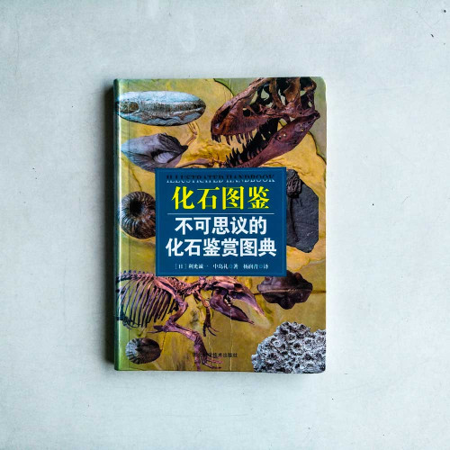 化石圖鑑:不可思議的化石鑑賞圖典 化石圖鑑:不可思議的化石鑑賞圖典
