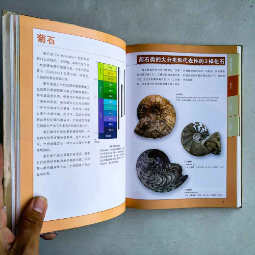 化石圖鑑:不可思議的化石鑑賞圖典 化石圖鑑:不可思議的化石鑑賞圖典