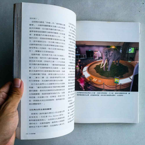 懷念與蛻變:空間記憶 懷念與蛻變:空間記憶