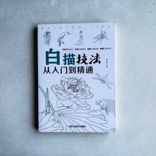 白描技法:從入門到精通 白描技法:從入門到精通