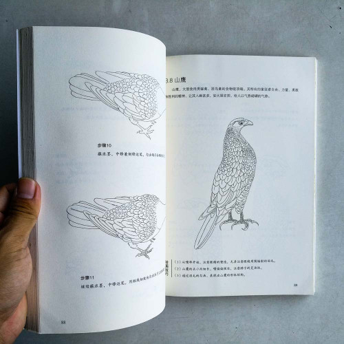白描技法:從入門到精通 白描技法:從入門到精通