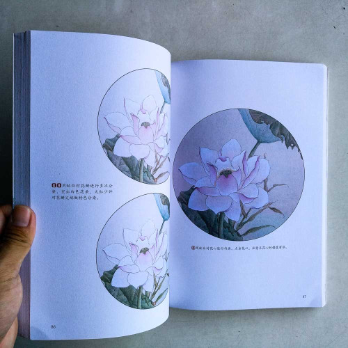 工筆畫技法:從入門到精通 工筆畫技法:從入門到精通
