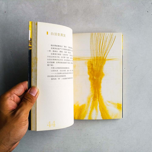 加一片檸檬 加一片檸檬