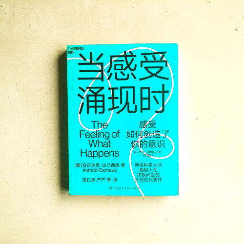 當感受湧現時：感受如何創造了你的意識