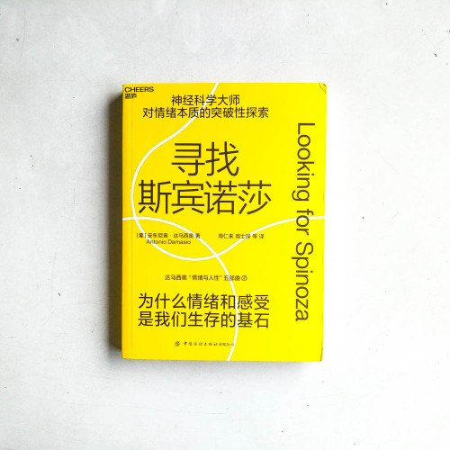 尋找斯賓諾莎：為什麽情緒和感受是我們生存的基石