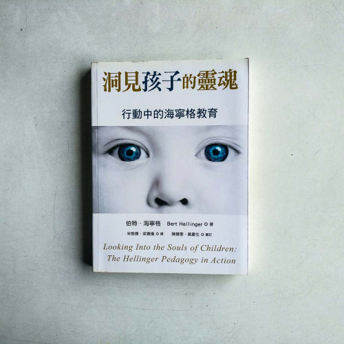 洞見孩子的靈魂:行動中的海寧格教育 洞見孩子的靈魂:行動中的海寧格教育