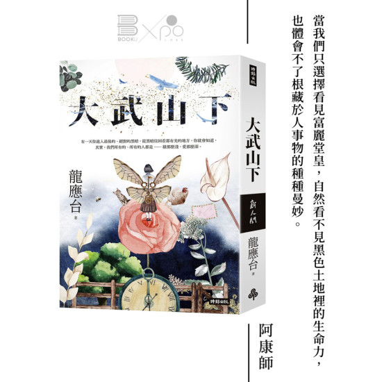 龍應台《大武山下》 龍應台《大武山下》