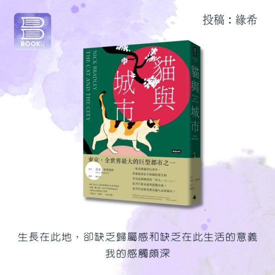 貓與城市 貓與城市