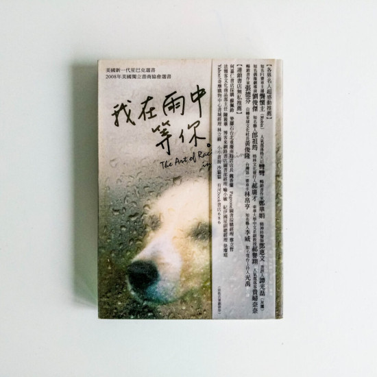 我在雨中等你 我在雨中等你