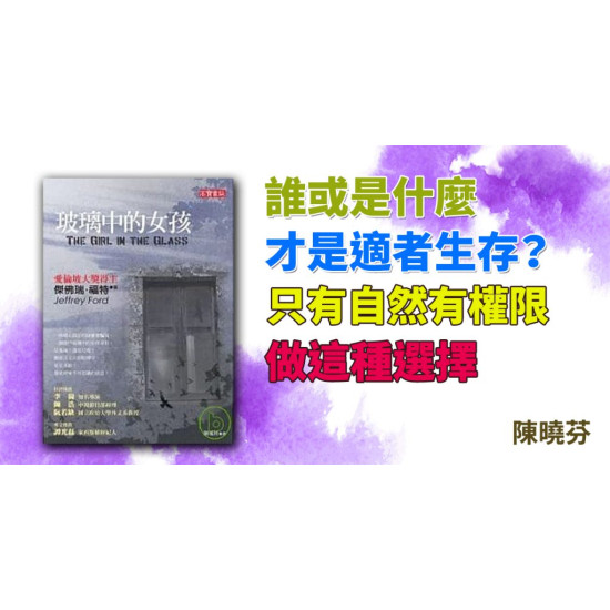 玻璃中的女孩 玻璃中的女孩