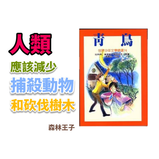 青鳥 青鳥
