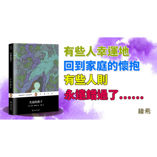 失竊的孩子 失竊的孩子